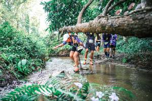 BIB: 
                            <button type="button" onclick="openModal(25478228)" class="btn btn-primary btn-sm float-right btn-popup" data-toggle="modal" data-target=".modal-high-quality">
                        <i class="fas fa-shopping-cart"></i> Add to Cart
                    </button>
                                            <button type="button" onclick="isThisMe(25478228, true)" class="btn btn-success btn-sm float-right btn-popup btn-isme hidden" data-toggle="tooltip" data-placement="bottom" title="นี่คือรูปของคุณใช่ไหม คลิกที่นี่เพื่อเอาเข้าอัลบั้ม">
                        <i class="fas fa-plus"></i> Add to album
                    </button>
                    <button type="button" onclick="isThisMe(25478228, false)" class="btn btn-warning btn-sm float-right btn-popup btn-isnotme hidden">
                        <i class="fas fa-ban"></i> Remove from album
                    </button>